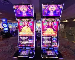 wingiler44 Sportsbook